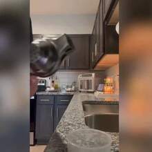 1 件商品，柑橘榨汁机，多功能柠檬榨汁机，创意橙汁榨汁机，手动榨汁机，柠檬压榨器，不锈钢手动水果压榨器，柑橘压榨器，厨房用具，厨房小工具，厨房配件 - 彩色 - 查看 11