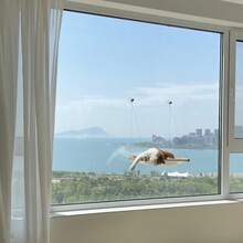 1 pieza Hamaca plegable para mascotas, cama para gato portátil con ventosa, hamaca colgante para balcón, alféizar de ventana, tomar el sol en todas las estaciones, accesorio esencial para propietarios de gatos - 13,78 * 21,65 pulgadas - Ver 12