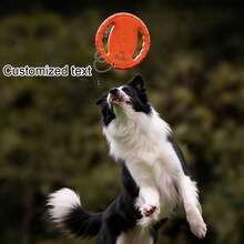 Personalized Pet Name Durable Dog Training Flying Disc: Ultimate Choice For Outdoor And Indoor Toys, Suitable For Throwing, Catching, Swimming And Training - Perfect For Chewing Dogs - Multicolor - View 3