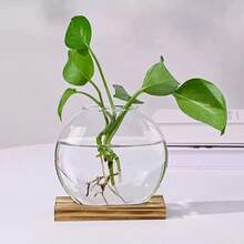 1 bình trồng cây thủy canh hình trái tim bằng thủy tinh có đế gỗ, lý tưởng để trang trí nhà cửa và văn phòng, giá đỡ ươm cây trong nhà, giá đựng cây thủy canh, bình thủy tinh trang trí. - Nhiều màu - Xem 8