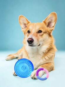 1 Set Purple/Pink/Blue Pet Chew Ring & Soft Flying Disc - Multifunctional Toy For Medium/Large Dogs, Dog Lovers & Moms | Natural TPR Rubber Material, Cleans Teeth, Relieves Itching | Indoor/Outdoor Play, Beach Fetch Pet Supplies | Valentine's Day Gift - Multicolor - View 10