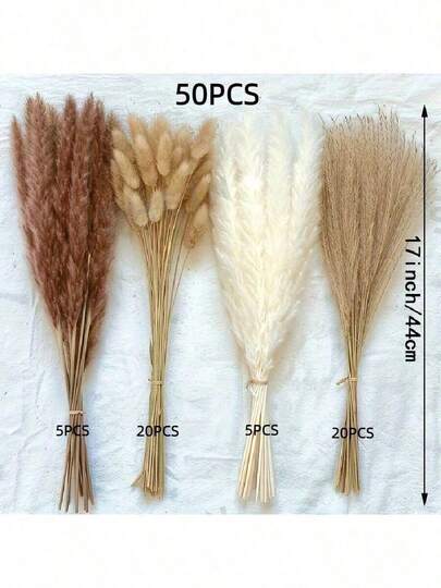 38/50/80/100/120 Stems Of Natural Premium Pampas Grass Decoration - Dried Vines, Suitable For Home, Wedding, Event And Holiday Decorations (Valentine's Day, Mother's Day, Easter, Thanksgiving).