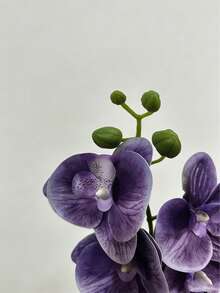 1/3支，长23.6英寸，丝滑质感人造蝴蝶兰花茎，仿真兰花，家居装饰桌面花艺摆设，派对装饰，人造植物，新年装饰，卧室装饰配件，家居装饰，房间装饰，场景布置，客厅卧室花瓶填充物，情人节装饰礼物，春季装饰 - 紫色 - 查看 4