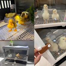 DJKFH Jaula for ConejosTransparente for jerbos y hábitats con Bandeja íble fácil Limpieza y observación for Mascotas pequeñas A 106 * 46.5 * 45cm - A - Ver 6