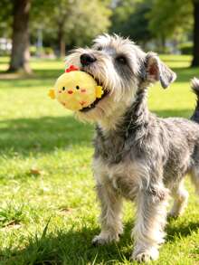 卡通刺猬吱吱叫咀嚼玩偶，宠物牙齿清洁按摩器，可自行玩耍的毛绒玩具，适用于猫狗 - 彩色 - 查看 2
