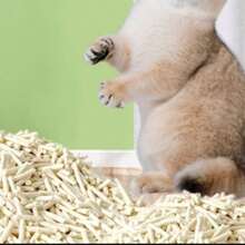 20lbs/9kg Super Large Bag Tofu Cat Litter, Odor Control, Clumping, Dust-Free, Easily Dissolvable, Cat Supplies