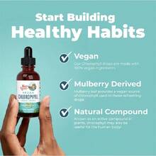 Mary Ruth's Vegan Chlorophyll Liquid Drops - Non-Diluted Liquid Chlorophyll - Mulberry Derived Supplement - Non-GMO - Delicious Minty Flavor - 2 Fl Oz - 1Bottles - 查看 8