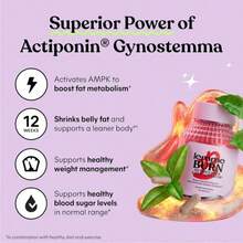[Weight Loss Products]Lemme Burn AMPK Activator Fat Burner,Actiponin Gynostemma, Green Tea Extract,B6 & B12,Belly Fat Support & Metabolism Booster For Men & Women,Vegetarian, Gluten-Free,60 Capsules - 1 件 - 查看 2