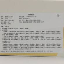 Puma Unisex CNY Casual Sports Sneakers Low-Top 40884801 - Red - View 8