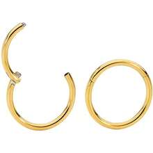 1Pair 16G Nose Ring Hoop, Stainless Steel Hinged Nose Ring Septum Clicker Septum Piercing Jewelryt Tragus Helix Cartilage Daith Rook Earring Piercing Jewelry For Women Men - Gold - View 2