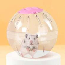 Random Color Cute Hamster Exercise Ball, Hamster Running Ball, Transparent Hamster Ball, Small Pet Hamster Exercise Wheel - Multicolor - View 8