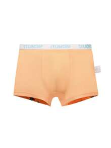 4pcs/Pack Teen Boys' Funny Graphic Print Midrise Boxer Briefs - Multicolor - View 6