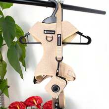 3pcs Adjustable Chest Harness, Leash And Poop Bag Holder Set, Comfortable Teddy Bear Design Harness Suit For Training And Walking Small/Medium Pets