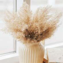 10/20 cành cỏ lau nhân tạo màu trắng để trang trí, bó cỏ lau giả mini 17,3 inch, cỏ lau hai màu, phong cách Boho, trang trí hoa phòng, lấp đầy bình hoa, trang trí vòng hoa, trang trí phòng ngủ, đám cưới Boho, trang trí cây cảnh, trang trí sàn nhà. - nâu sẫm - Xem 6