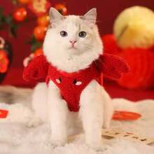 Pet Coats & Jackets - Red - View 5