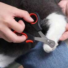 1pc Pet Nail Clippers, Sharp Cat Nail Trimmer, Dog Nail Clipper, Kitten Nail Cutter, Pet Supplies - Multicolor - View 9