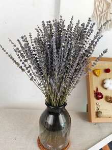25/50/100/200+ tallos Ramo de flores de lavanda seca, ramos de lavanda seca fragante aptos para ducha, boda, decoración de jarrón del hogar, manualidades, aromaterapia y perfumado - Multicolor - Ver 7