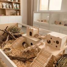 木制仓鼠沙滩主题玩具 - 波浪形楼梯和柔软的攀爬梯，适合小型宠物，天然木桥和围栏，可用于笼子装饰（天然木材手工制作） - 米色 - 查看 10