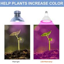 LED Green Plant Grow Light Bulb E27/E26 Sunlight AC100-277V Greenhouse Tent Red Blue Hydroponic System Professional Growth Box Cultivation Lamp Pink Fill Lights 110V/220V Indoor Vegetable Fruit Potted Flower Bonsai Seeds Succulent Cactus Moss Seedlings Lighting 8/12/18Leds - LED Light Plant Bulb - View 10