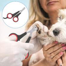 1pc Pet Nail Clippers, Sharp Cat Nail Trimmer, Dog Nail Clipper, Kitten Nail Cutter, Pet Supplies - Multicolor - View 8