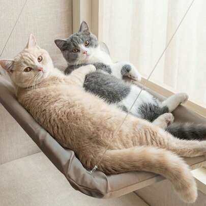 PETSIN 1 件装猫吊床悬挂式猫床窗户宠物床适用于猫小型犬阳光窗座安装架带毯子承重 5 公斤宠物配件
