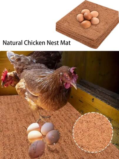 Reusable Chicken Nest Mat, Natural Coconut Tree Pebble Mat, Multi Functional Chicken Nest Box Pad, Used For Mother Hen Egg Laying, Chicken House Accessories Egg Laying Mat, Thickened Water Absorbing Mother Hen Mattress, Soft Egg Laying Mat Material, Suitable For Courtyard Chicken Houses And Farms, Poultry Supplies