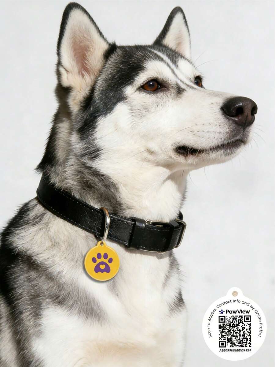 宠物身份牌，适用于猫狗，可添加宠物姓名和电话号码，具有保护功能，扫码定位，方便查找宠物位置，宠物用品，可爱宠物身份卡 - 薑色 - 查看 1