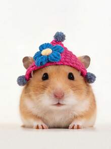 1pc/3pcs Hamster Decor Knitted Hat With Cute Furry Pom Pom, Warm & Adorable, Suitable For Photo Shoot, Fits Hamsters, Parrots & Other Small Pets - Multicolor - View 2