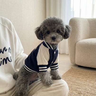 PETSIN 1 件宠物 Ins 风格狗棒球夹克，时尚有趣的狗口袋刺绣设计，秋冬猫狗衣服