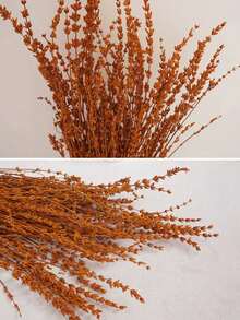 25/50/100/200+ tallos Ramo de flores de lavanda seca, ramos de lavanda seca fragante aptos para ducha, boda, decoración de jarrón del hogar, manualidades, aromaterapia y perfumado - Multicolor - Ver 6