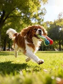 Interactive Slow Feeder Dog Toy, Puzzle Food Dispenser With Chewing Rope, Shake, Roll, Vibrate Game For Puppy Training, Intelligence Development, Suitable For Small, Medium, Large Dogs, Outdoor Activity And Dental Care - Multicolor - View 7