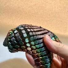 Mô hình sao biển in 3D xuyên biên giới, mô hình động vật biển có khớp cử động, đồ chơi sáng tạo giúp giảm căng thẳng, quà tặng trang trí bàn làm việc nhỏ xinh cho bé trai và bé gái nhân dịp sinh nhật. - Nhiều màu - Xem 6