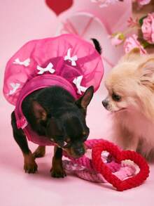 红色毛绒心形和骨头形状宠物玩具，带声音效果，适合猫狗，互动陪伴玩具，情人节装饰和礼物，小型宠物的理想之选 - 彩色 - 查看 5