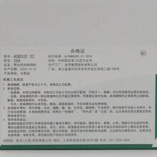 Puma Palermo Casual Low-Top Sneakers Unisex - Red - View 8