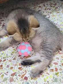 3pcs/5pcs Cat Macaroon Plush Balls, Pet Elastic Bell Ball Self-Entertaining Toy, 7-Color Fluffy Ball Cat Teaser Toy - Multicolor - View 5