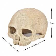 Resin Skull Aquarium Decor - Fish Tank Decorations, Suitable For Small Fish And Reptiles, Interesting Aquarium Landscape Cave Series, Aquarium Decor | Aquarium Enhancement | Interesting Aquarium Supplies, Aquarium Accessories - Bald Skull - View 5