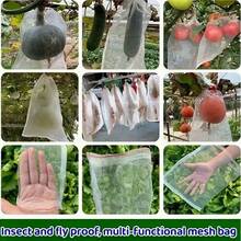 10个/25个装抽绳网袋 - 适用于培根、香肠、炸肉、仓鼠等 - 户外储物解决方案,培根晾干网,防蝇,肉类悬挂袋,透气,防鸟肉晾干工具,耐用网袋 - 白色 - 查看 8