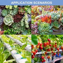 LED Green Plant Grow Light Bulb E27/E26 Sunlight AC100-277V Greenhouse Tent Red Blue Hydroponic System Professional Growth Box Cultivation Lamp Pink Fill Lights 110V/220V Indoor Vegetable Fruit Potted Flower Bonsai Seeds Succulent Cactus Moss Seedlings Lighting 8/12/18Leds - LED Light Plant Bulb - View 11