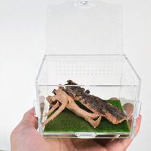 1 pieza Estera de césped artificial recortable, adecuada para terrarios de reptiles, estera de musgo artificial para cajas de escalada, sustrato para recintos de reptiles, decoración para lagartos, geckos, serpientes, etc. para todas las estaciones - Multicolor - Ver 6