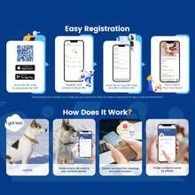 宠物身份牌，适用于猫狗，可添加宠物姓名和电话号码，具有保护功能，扫码定位，方便查找宠物位置，宠物用品，可爱宠物身份卡 - 薑色 - 查看 4