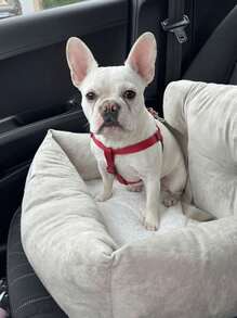 PETSIN 四季宠物车用床/窝，车用狗窝床，狗车用增高座椅，猫床，配有安全带和牵引绳，便携式车把宠物座椅套汽车配件 - 彩色 - 查看 3