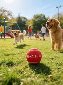 1Pc Personalized Tennis Ball,Can Be Customized With Your Name , Multiple Colors Available, Christmas/Birthday Gift, High Elasticity For Beginner Training & Match, Massage Pet Ball, Chew Toy, Custom Logo Tennis Accessory, Stress Relief Pet Supplies - Multicolor - View 3