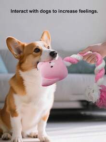 1个狗狗磨牙绳打结玩具，带吱吱声的狗狗玩具球，狗狗磨牙绳，宠物磨牙玩具，牙齿清洁互动游戏，狗狗和猫咪减压礼物，宠物用品 - 彩色 - 查看 9