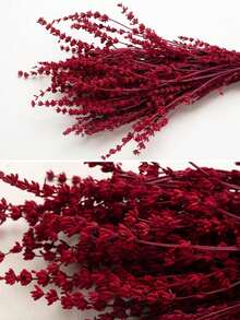 25/50/100/200+ tallos Ramo de flores de lavanda seca, ramos de lavanda seca fragante aptos para ducha, boda, decoración de jarrón del hogar, manualidades, aromaterapia y perfumado - Multicolor - Ver 2