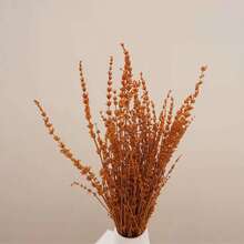 25/50/100/200+ tallos Ramo de flores de lavanda seca, ramos de lavanda seca fragante aptos para ducha, boda, decoración de jarrón del hogar, manualidades, aromaterapia y perfumado - Multicolor - Ver 9