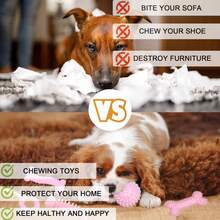 1 Set Random Style Puppy Teething Toys, Suitable For Small Dogs - Durable TPR And Plush Material, Squeaky Chew Toys, Interactive Dog Dental Care Training Toy Set - Multicolor - View 4