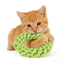 Durable Dog Leash Toy, Indestructible Dog Chew Toy For Aggressive Chewers, Tough Puppy Teething Toy, Boredom Buster & Dental Cleaning Tug Of War Dog Toy, Suitable For Small To Large Dogs - Multicolor - View 8