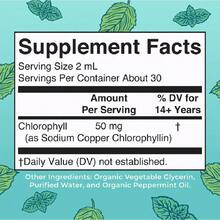Mary Ruth's Vegan Chlorophyll Liquid Drops - Non-Diluted Liquid Chlorophyll - Mulberry Derived Supplement - Non-GMO - Delicious Minty Flavor - 2 Fl Oz - 1 chai - Xem 4