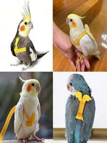 1pc Anti-Bite Flight Training Rope Parrot Bird Pet Leash Set, Ultra-Light Harness Leash, Soft & Portable Pet Toy - Multicolor - View 3