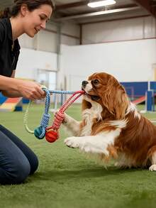 Interactive Slow Feeder Dog Toy, Puzzle Food Dispenser With Chewing Rope, Shake, Roll, Vibrate Game For Puppy Training, Intelligence Development, Suitable For Small, Medium, Large Dogs, Outdoor Activity And Dental Care - Multicolor - View 5
